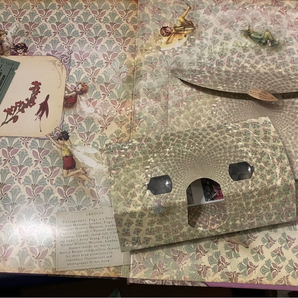 Do You Believe In Fairies? A Flower Fairies Journal - Picture 3 of 12